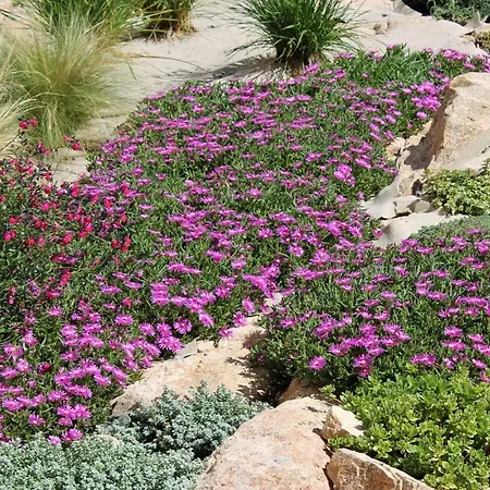 Apart-hotel Ahr Leonis 3*